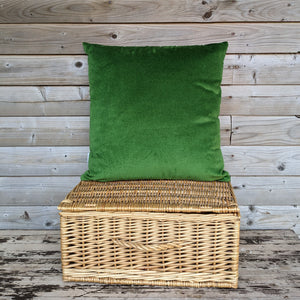 Hello Mr Fox Velvet Cushion
