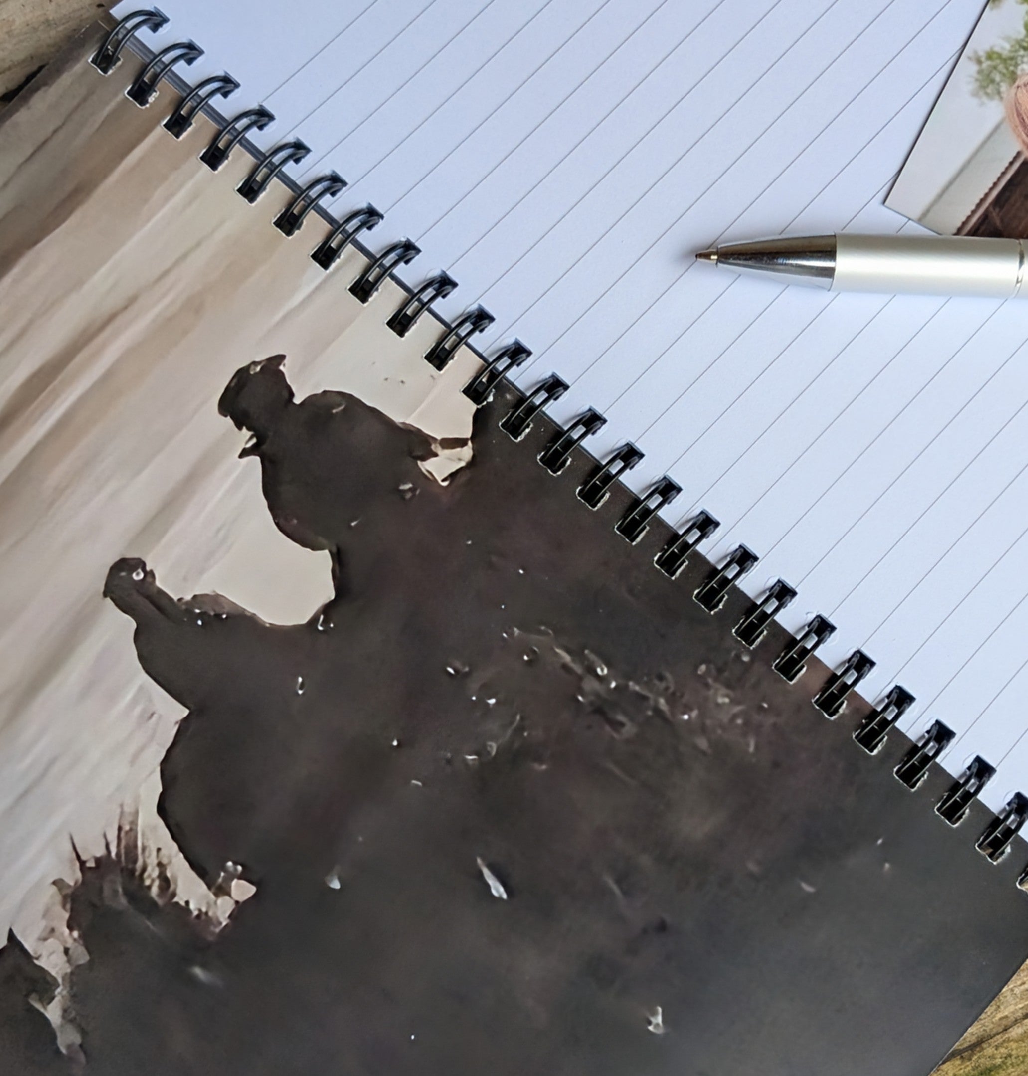 Horse Notebook (Unemployed Equine)