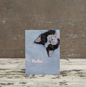 Cute Cat Card Collection