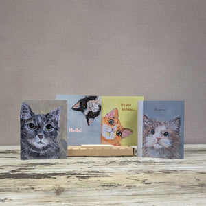 Cute Cat Card Collection