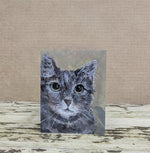 Load image into Gallery viewer, Cute Cat Card Collection
