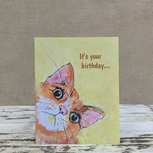 Cute Cat Card Collection