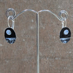Load image into Gallery viewer, Painted Moon and Ocean Earrings
