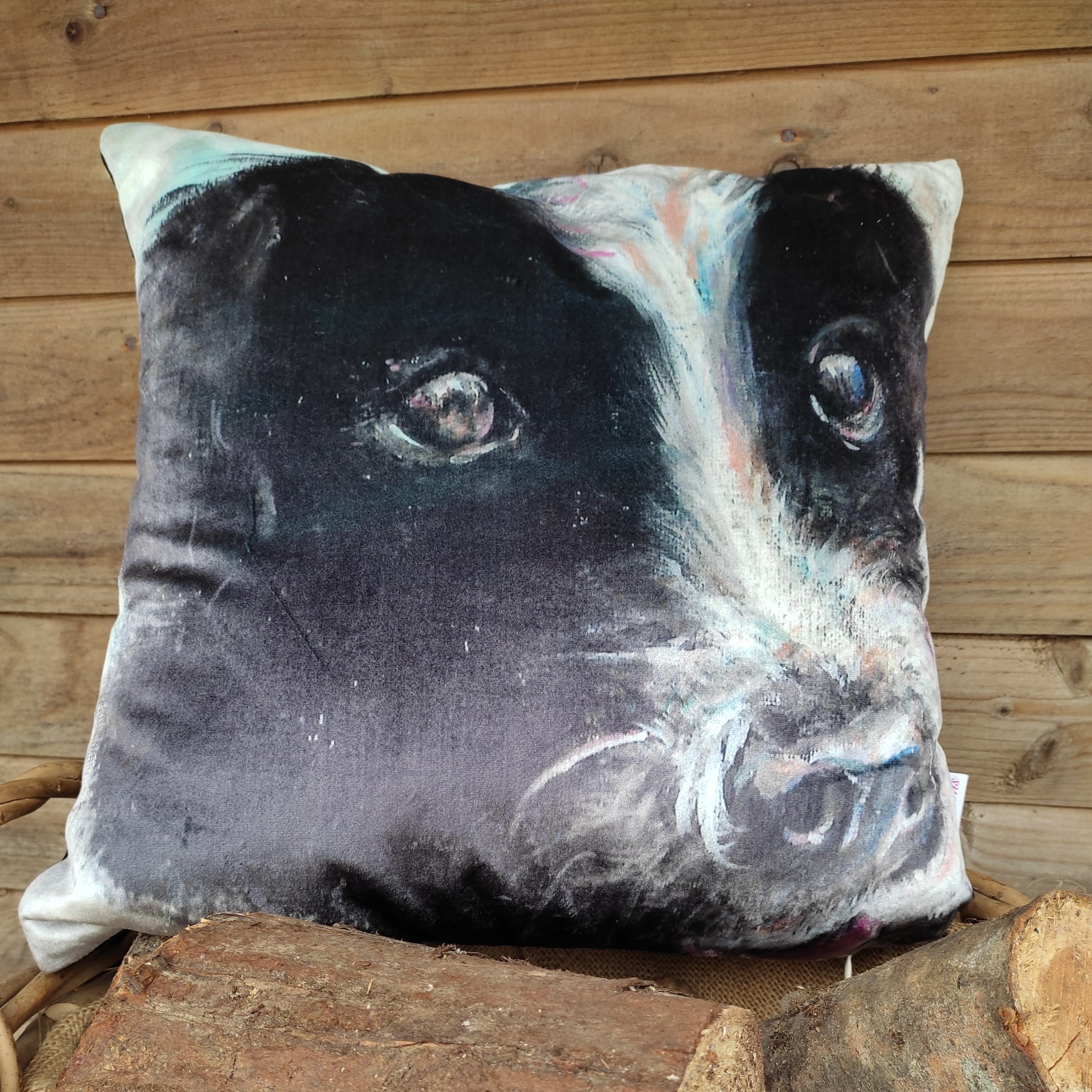 Collie Pup Square Cushion