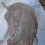 Load image into Gallery viewer, Muslin Dressage Shawl
