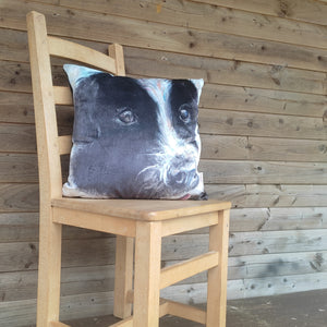 Collie Pup Square Cushion