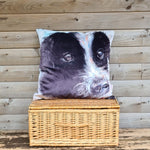 Load image into Gallery viewer, Collie Pup Square Cushion

