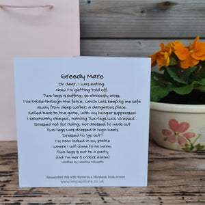 Horse Card and Poem (greedy mare)